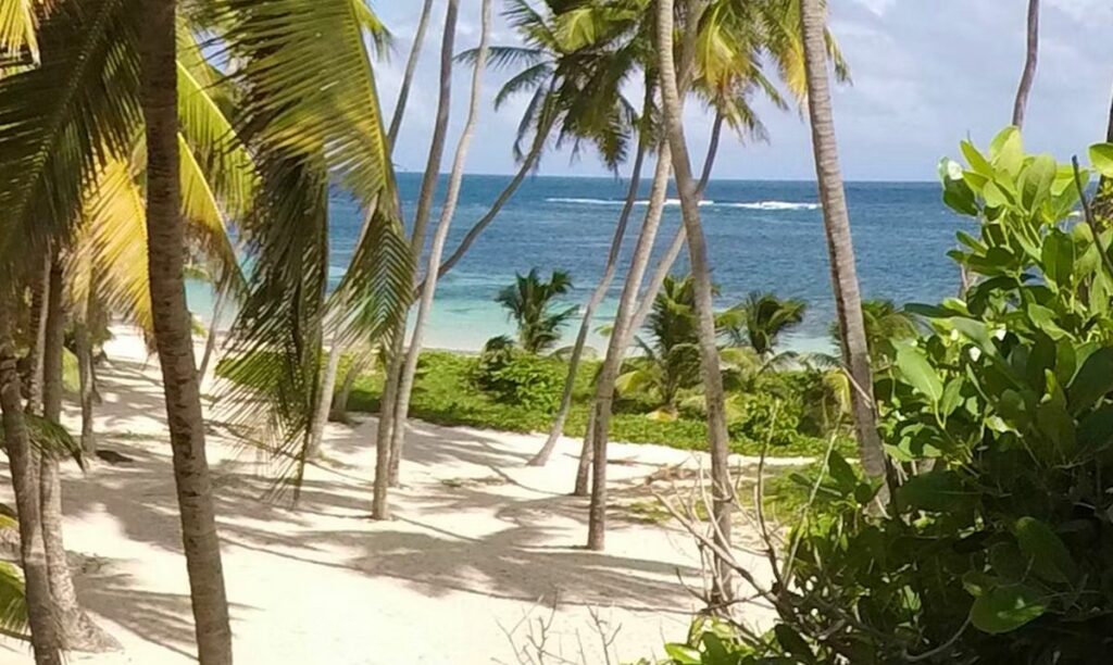 Martinique saison des pluies