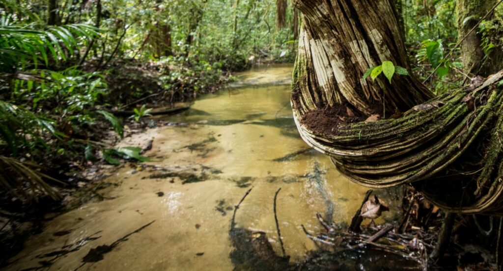 Guyane aventure