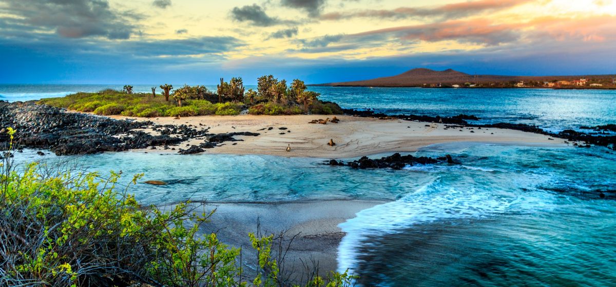 Les Îles Galápagos, Équateur